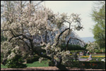 Missouri Botanical Garden's Climatron